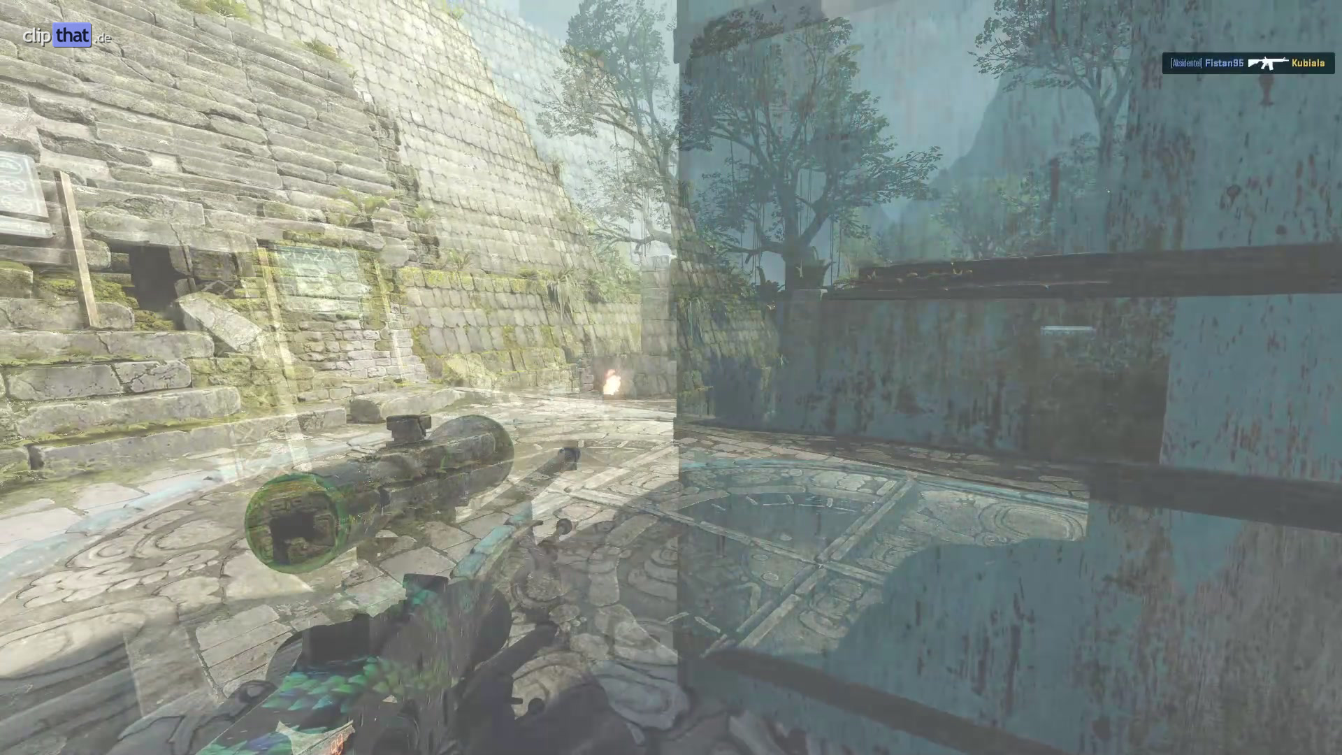 Highlight von Mitys
